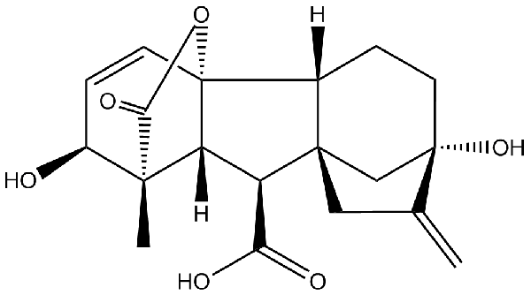 赤霉素GIBBERELLIC ACID，居然有這么神奇？